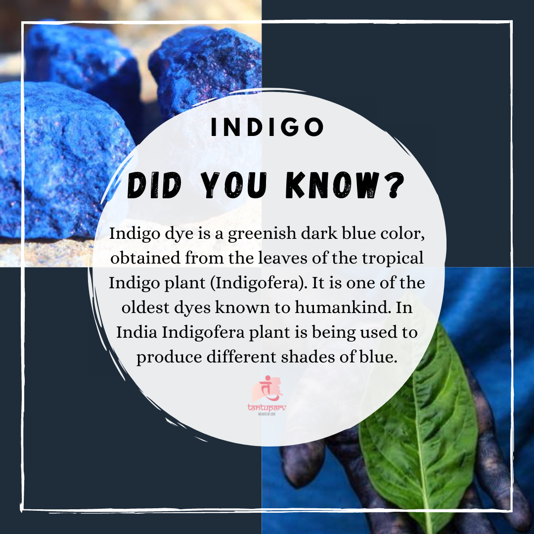 Indigo Plant Dye